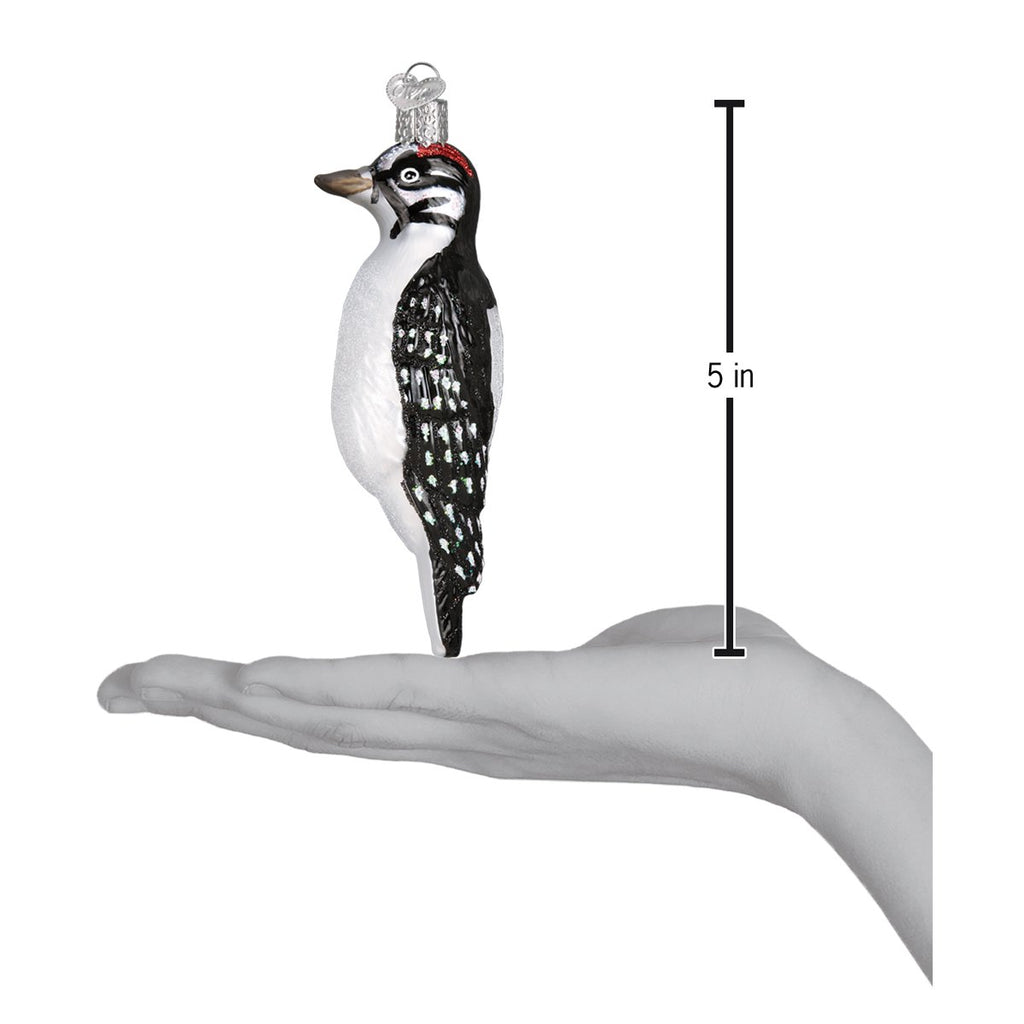 Hanging Hairy Woodpecker